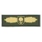 PARCHE DE GOMA PARCHE SOF SKULL BADGE GOLD DEFCON 5 [D5-JTG-29 GOLD]